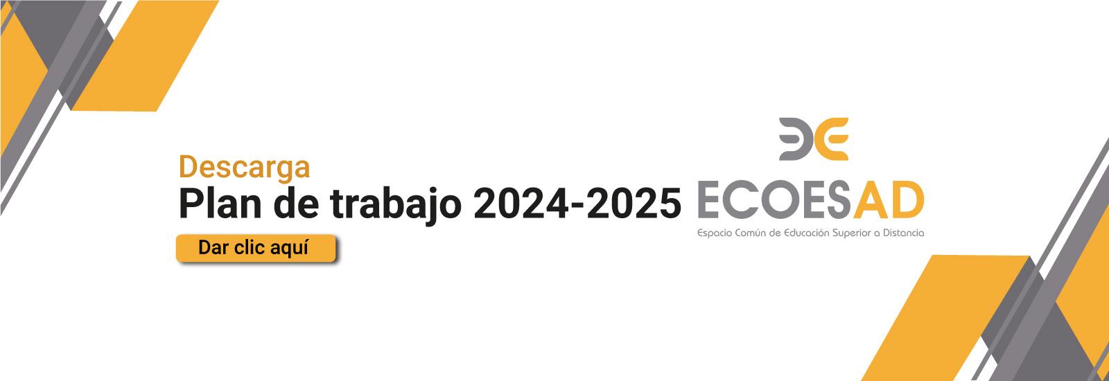 Plan de Trabajo ECOESAD 2024-2025